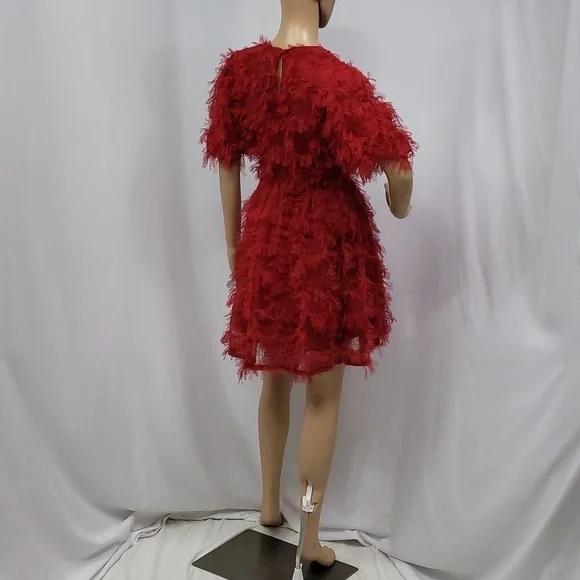 Endless Rose Texture Mesh  Overlay Mini Dress - Picture 12 of 17